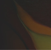 SARIAH SAMI NAJAM ART